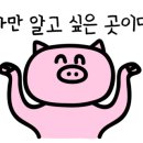 먹돌새기 이미지