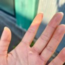 렌즈미안동점 | [자체블챌] 26년 3월 4주차