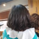 사도씨헤어본점