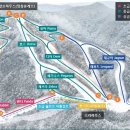 엘리시안강촌스키장 티스토리