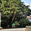 환벽당길 이미지