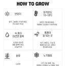선화석유 이미지