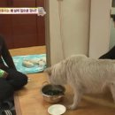 강보농장 이미지