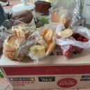 소양강수목원 이미지