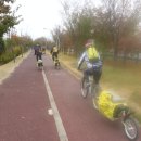 낙동강변3 이미지