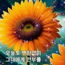 대도요양보호사교육원 네이버블로그