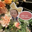 부산 범일동 클레이디뷔페 아기 돌잔치 후기(돌잔치 총 비용, 연계업체, 준비물 등 정리)