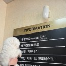 예랑유치원 | 부산 애견동반카페 시청 애견카페 왈왈랜드 후기