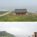 동백쉐이리
