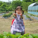 꿈내리어린이집 이미지