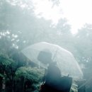 더레인(The rain) 이미지