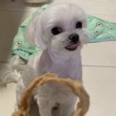 두즈파크 이미지