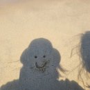 희래어촌 | 양양 인구해변 물회 맛집 "어촌마을물회섭국" 회 짱많음