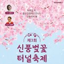 신풍리교차로 2-2 | 2026년 제주도 동네길(2) - 녹산로(가시리)와 신풍리의 유채꽃과 어우러진 벚꽃 구경