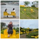 거제여행 노랑버덩 포토존 바람의 핫도그 본점 솔직 후기