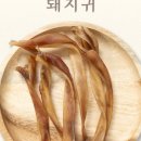돼지코 이미지