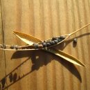 서부대로 이미지