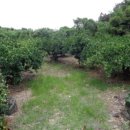 신풍보건진료소 이미지