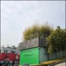 (주)코스리움 | 리움미술관 : 티노세갈개인전.. 미술이 아닌 공연으로 다가온 너!