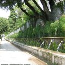 장에스테 이미지