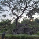 빗접바위 이미지