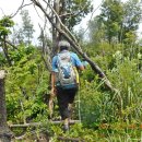 용계산장 이미지