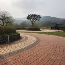 늘푸른 카 모터스 | 여행을 돕던 렌트카 사장, 가족과 선운산 도립공원 봄나들이 다녀왔습니다 (대만족 후기)