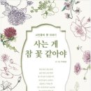 기분꽃같네 이미지