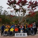 2016년 10월 예흔팀 이미지