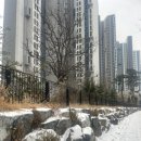미담샤브 | DMC 월남쌈 샤브샤브 무한리필 넓은 집 [미담샤브] + 가성비 갑