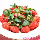 식탁에봄 이미지