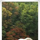 동은목장 이미지