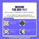 현대성우2차 이미지