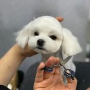 미용타운 이미지