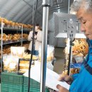 광선농장 이미지