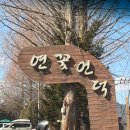 경기도 양평 두물머리 맛집 두부요리 전문점 연꽃언덕 내돈내산