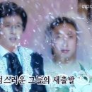 온기와 | 울산 축의대 대행 온기 ) 내돈내산 계약 후기 ღ