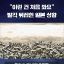 물고기 사체로 발칵 뒤집힌 일본 근황 이미지