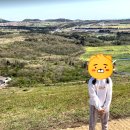 광령그린 민박 이미지