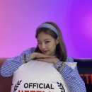 파슈 이미지