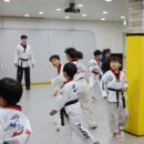 용인대 인성 태권도장 이미지