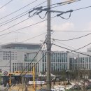 세종보건소 선별진료소 | [세종시 보건소/조치원 보건소|세종시 선별진료소] PCR 검사 후기_전자문진표 작성