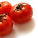 Red휘트니스 이미지