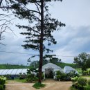 석호농원 이미지