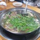 알라딘팜 이미지