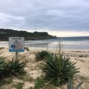 피스테라 이미지