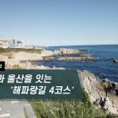 [하루만보]부산과 울산을 잇는 '해파랑길 4코스' 이미지