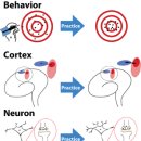 Kinesiology 이미지