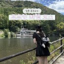 사기리 | 코스 : 킨린호수 / 유후마부시 신 / 비허니 / 플로랄빌리지 / 금상고로케 / 사기리다이 전망대 / 료칸 여명