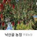 서초대로54길 28 이미지